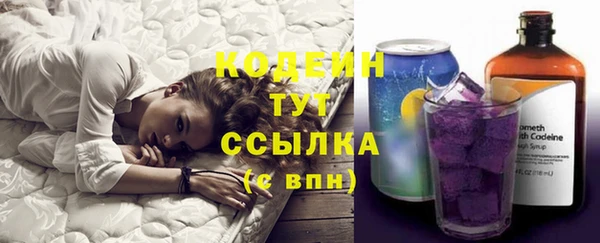 бошки Белокуриха