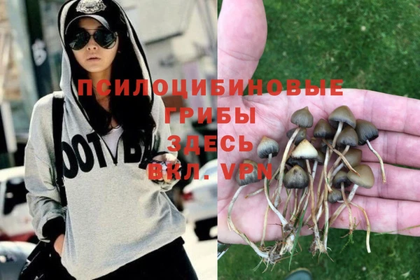бошки Белокуриха