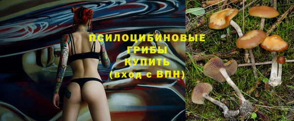 бошки Белокуриха