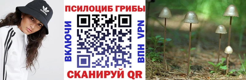 Галлюциногенные грибы ЛСД  Динская 