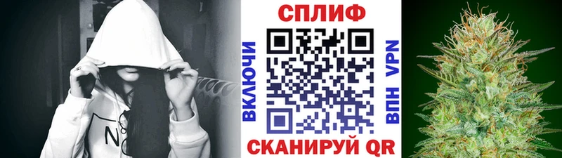 Канабис сатива  Динская 